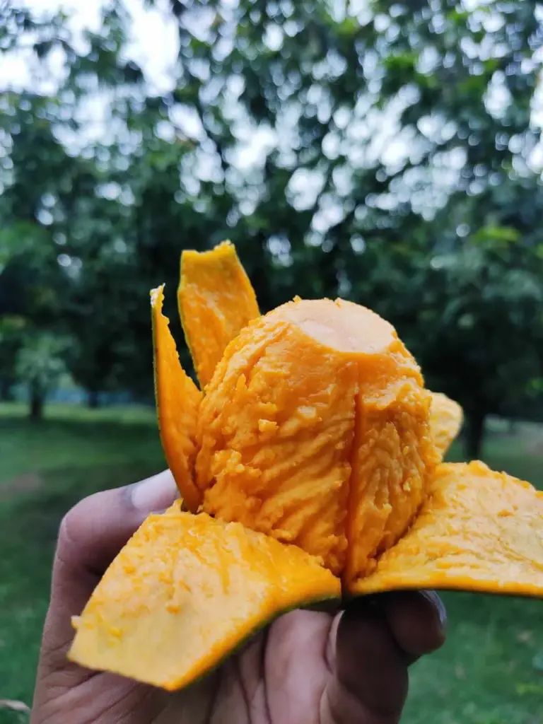 1000179801.jpg
